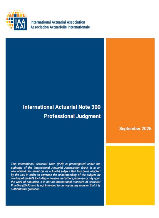 Resum executiu de l’IAN 300 – Professional Judgment